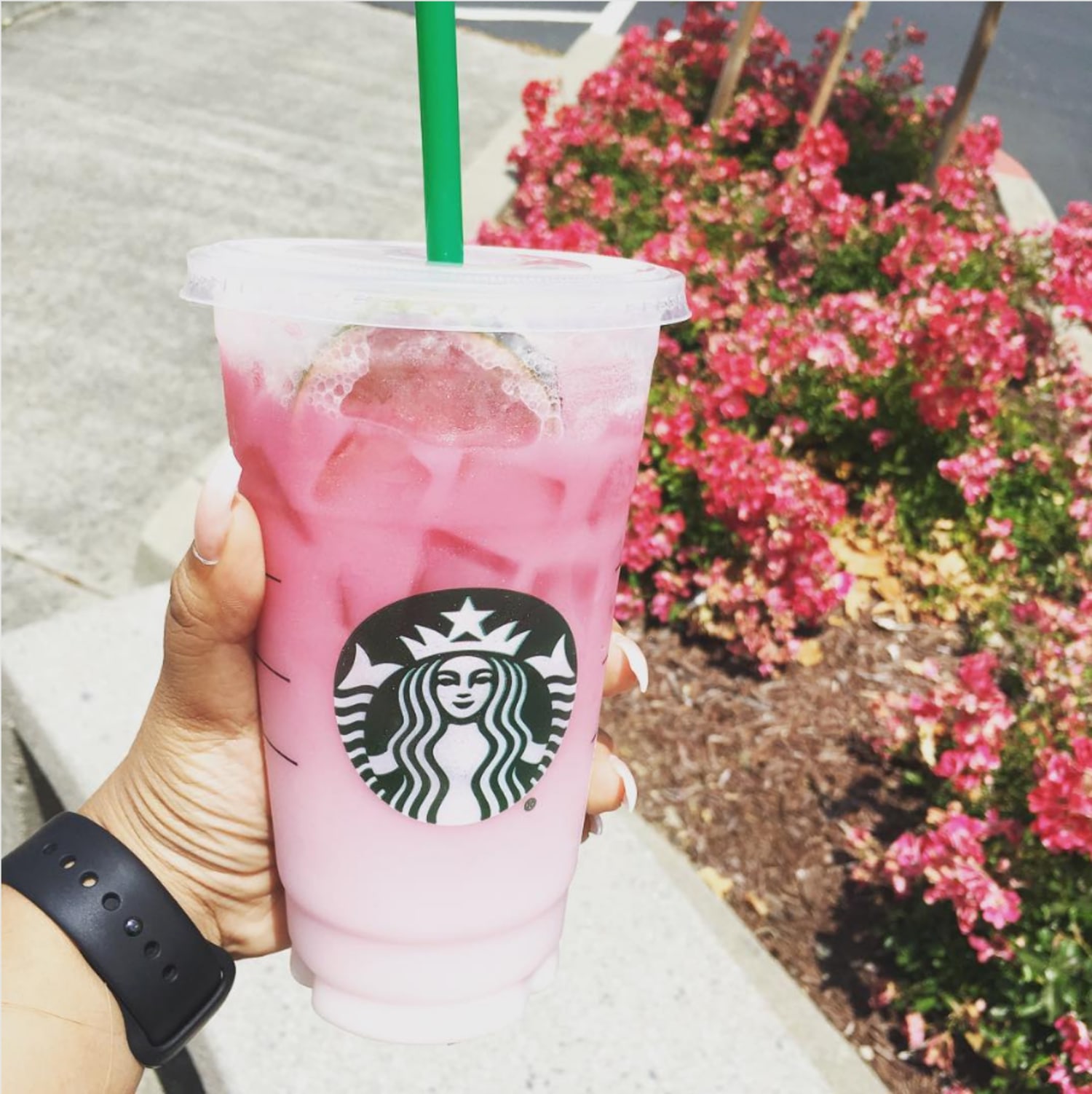 Starbucks Drinks