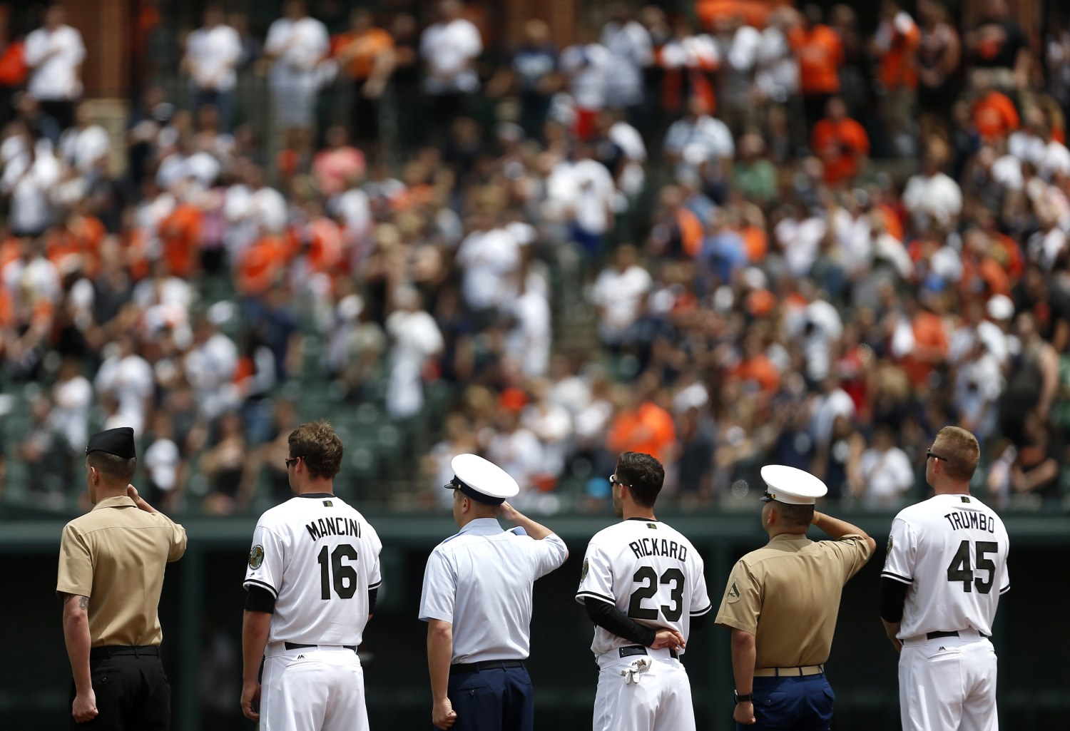 Memorial Day Baseball Stock Illustrations – 40 Memorial Day