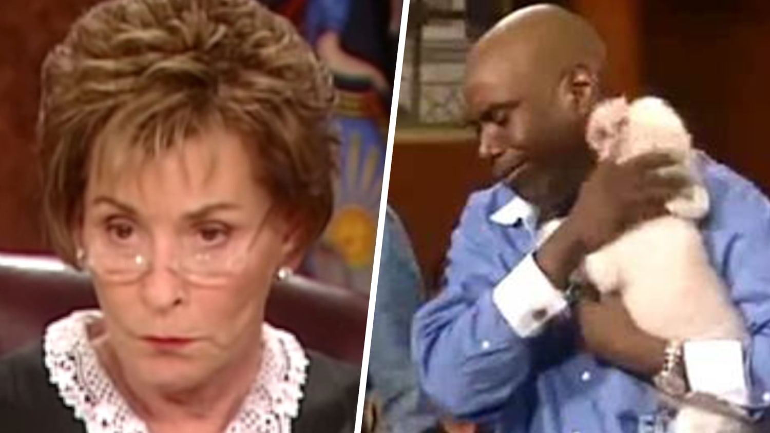 Judge Judy lets dog loose in courtroom to find true owner
