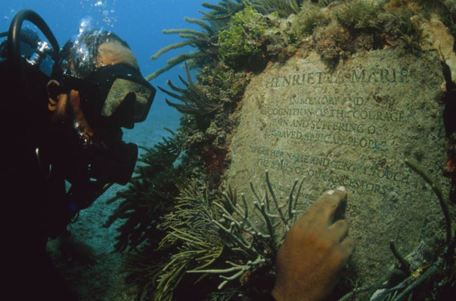 Shackles From the Deep' Explores Mystery of Sunken Slave Ship