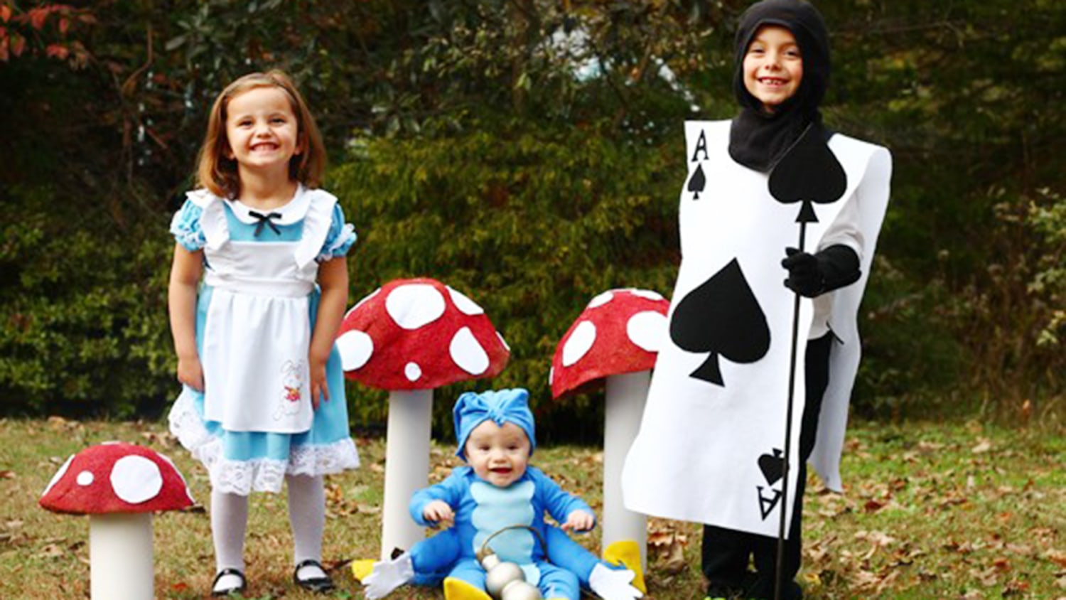 Alice in Wonderland Halloween Costumes for Siblings, Oleander + Palm