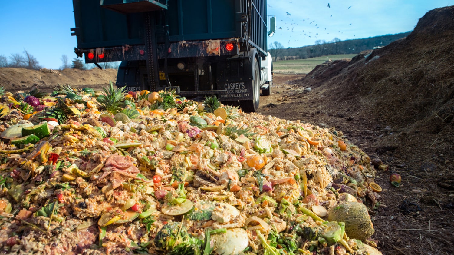 The simple way we might turn food waste into green energy