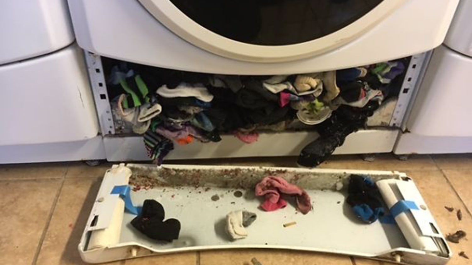 Do washing machines and dryers eat your missing socks?