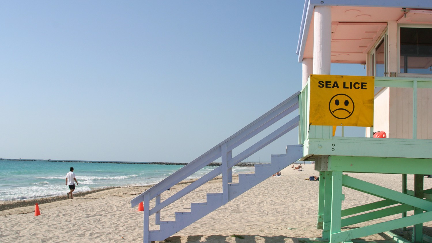How to avoid sharks, jellyfish and sea lice at the beach