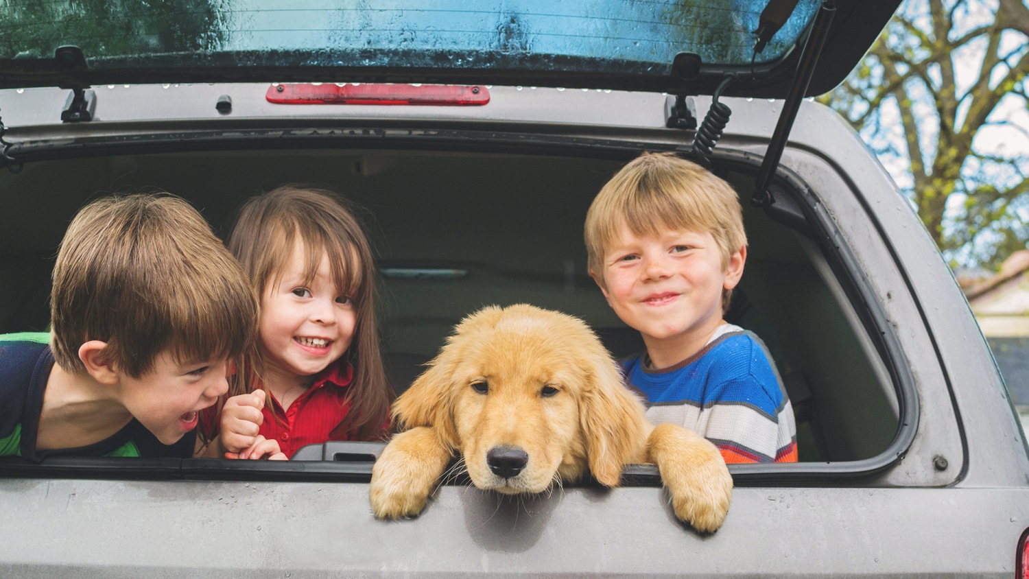 How To Clean Your Car With Easy Tricks