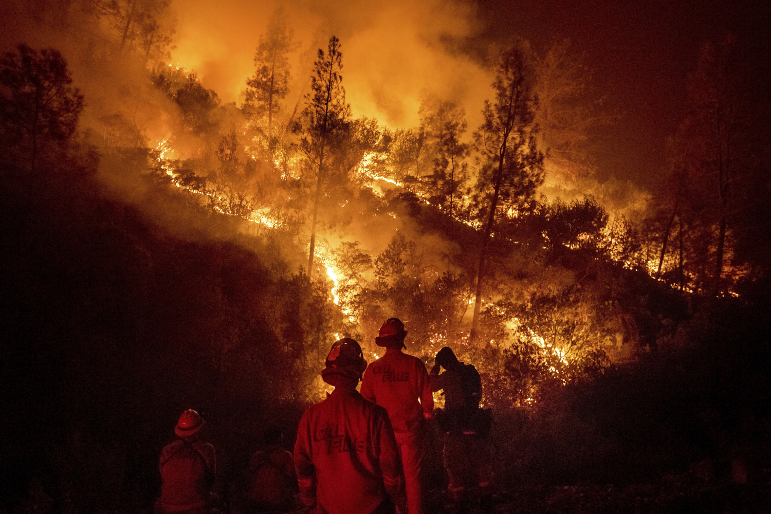 Verizon admits 'throttling' data to Calif. firefighters amid blaze
