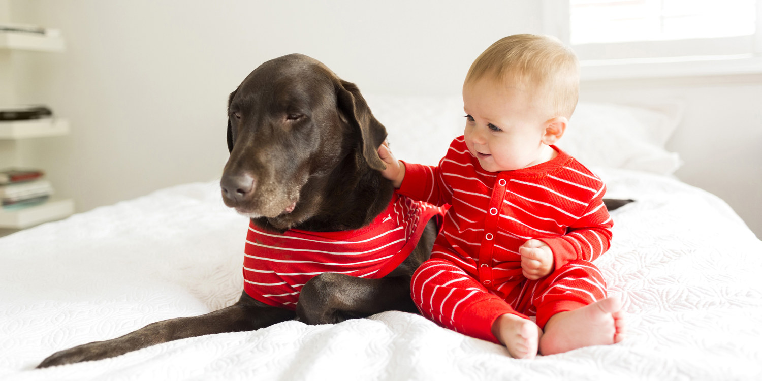 Dog pajamas allow owners to curl up with their pets in matching