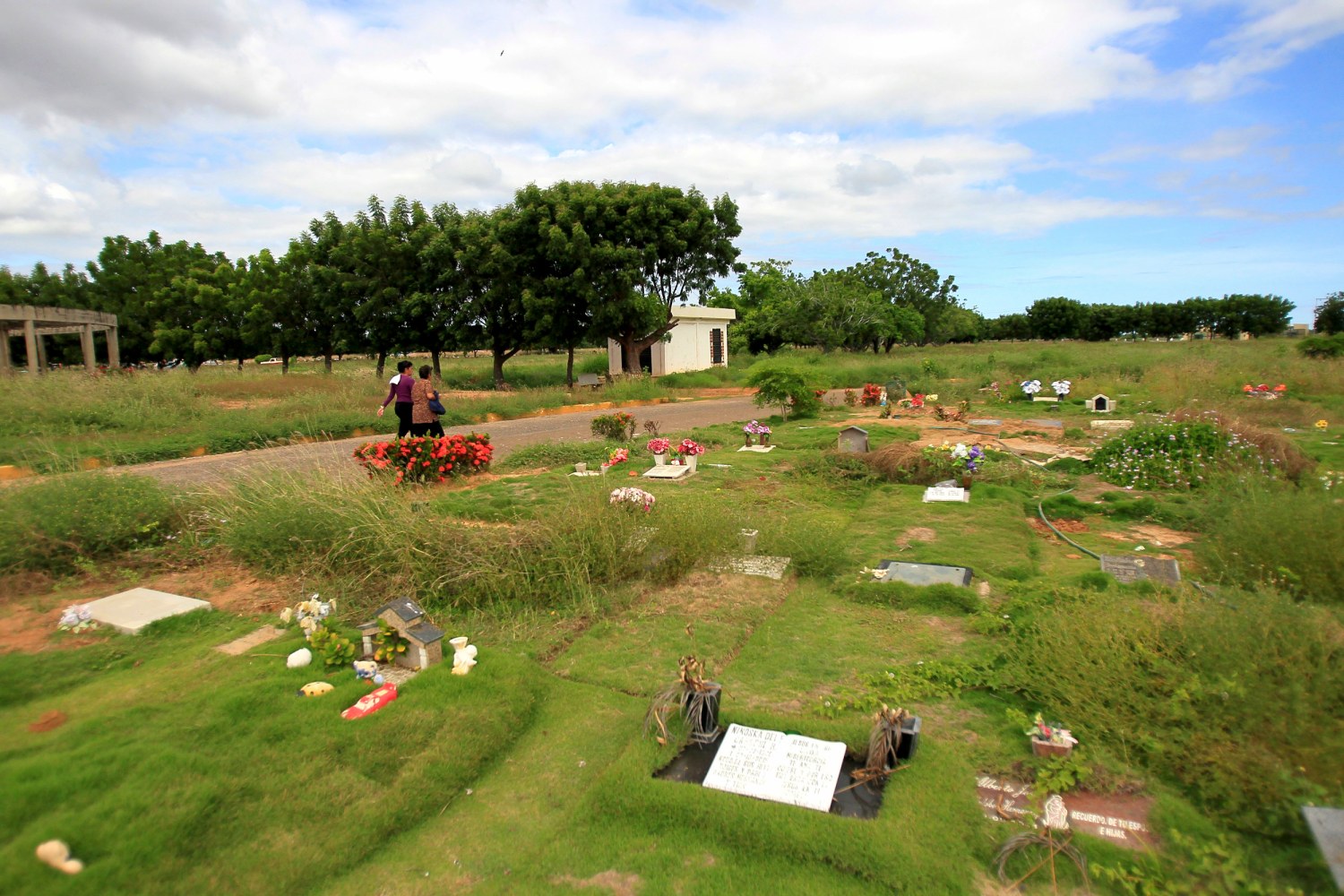 mother angelica find a grave mother angelica find a grave
