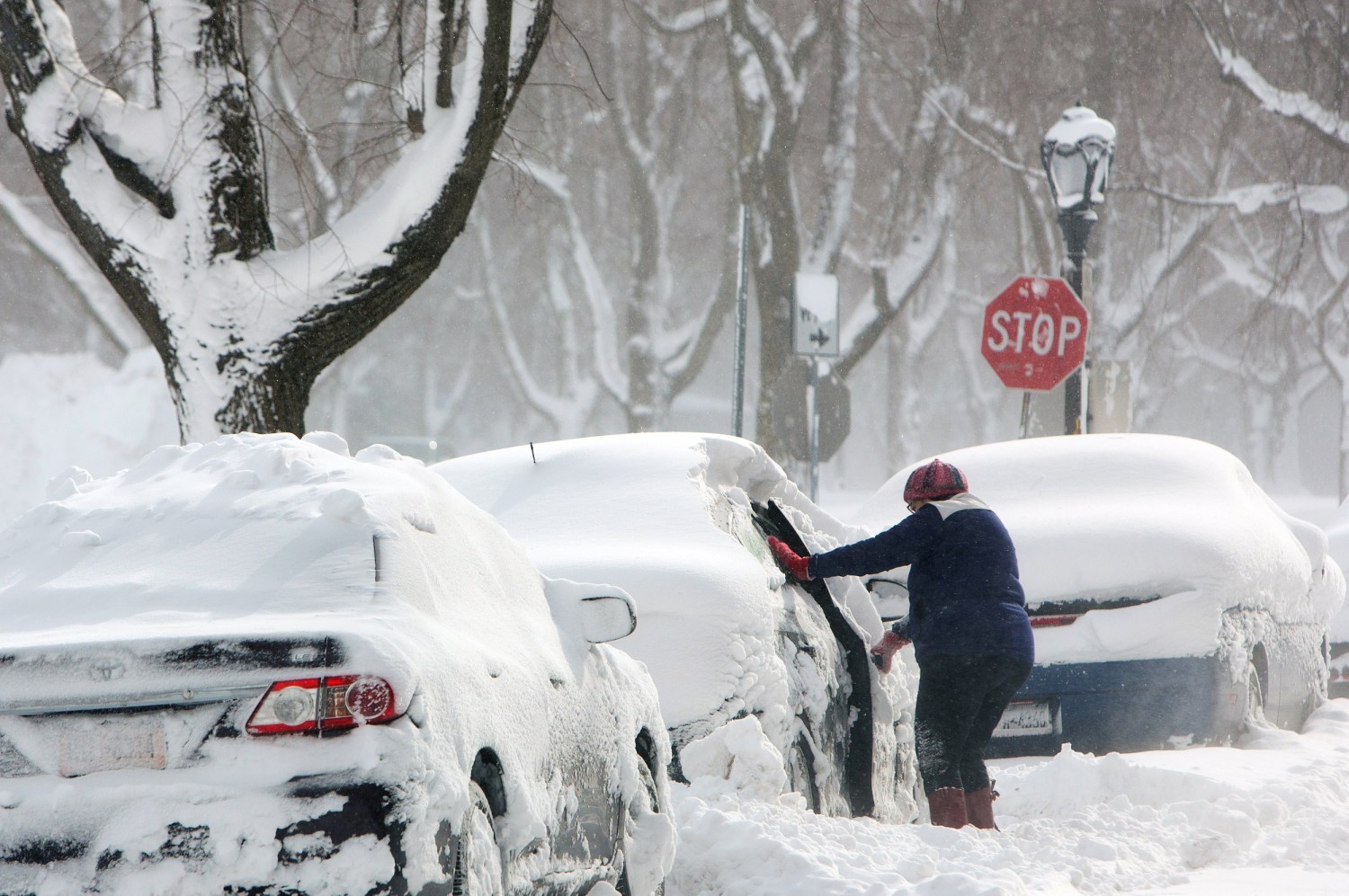 Weekend snowstorm good news for local businesses relying on winter  conditions