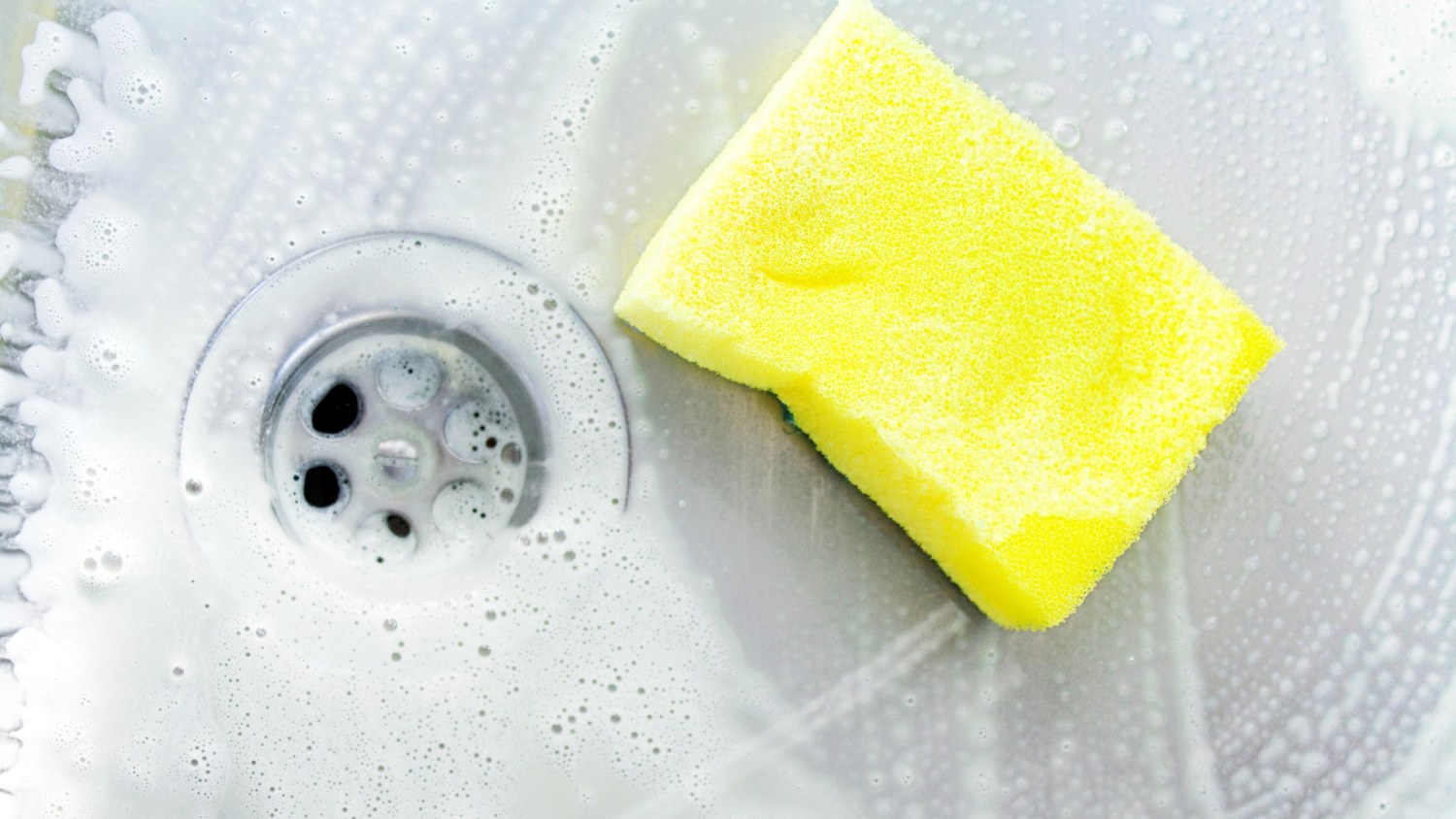 Sponge In A Sink Today Tease 170802 