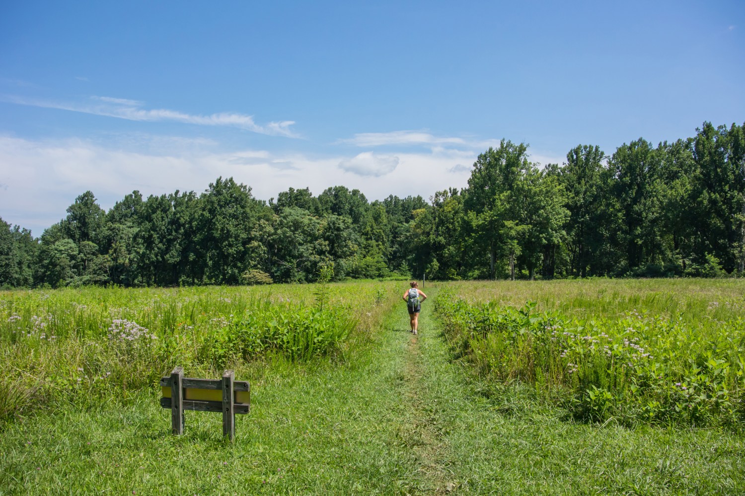 Transformation Tuesday - My Hiking Weight Loss Journey — Sprinkles Hikes