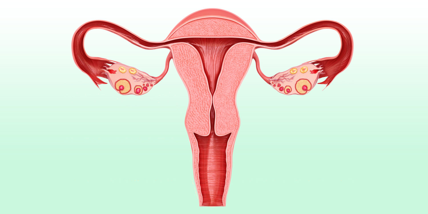 Tubal Ligation: Procedure, Recovery & Side Effects