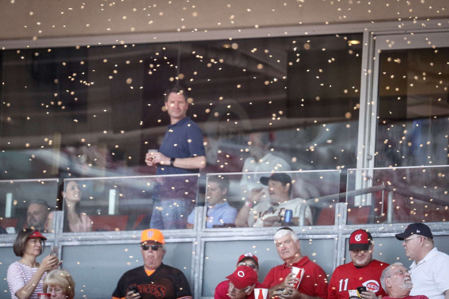 Diamondbacks - Giants game delayed by BEES 