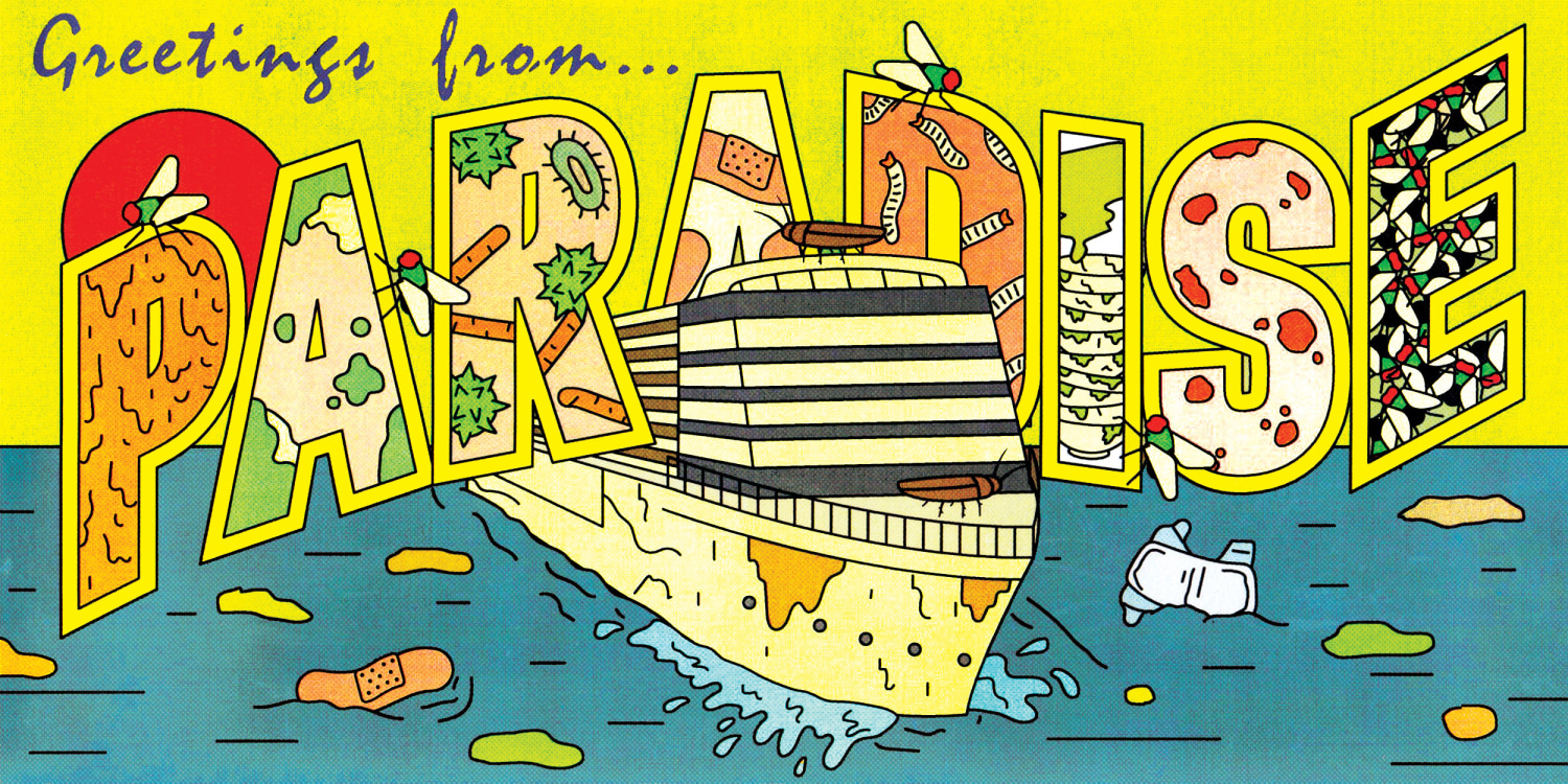 Cruise ship nightmare: After measles, norovirus outbreaks, why does anyone  still set sail?