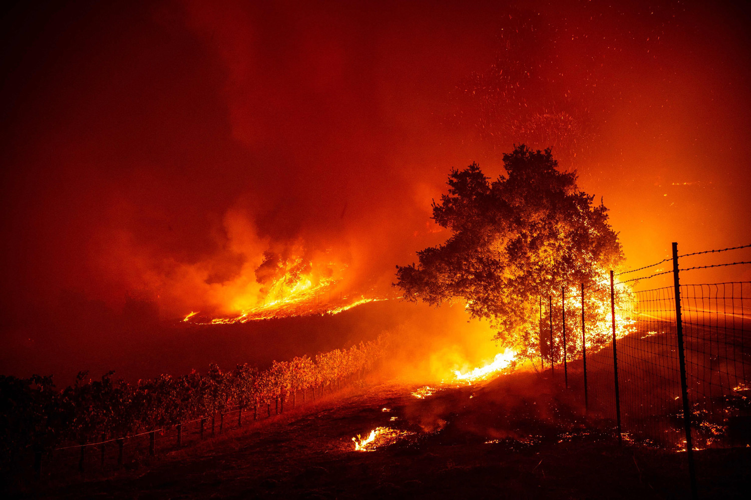 Photos California Battles Wind Fueled Wildfires