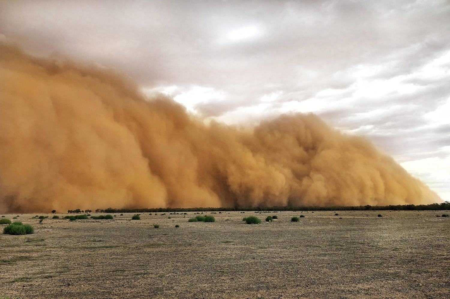 Huge dust cloud engulfs South Australia, turns skies orange