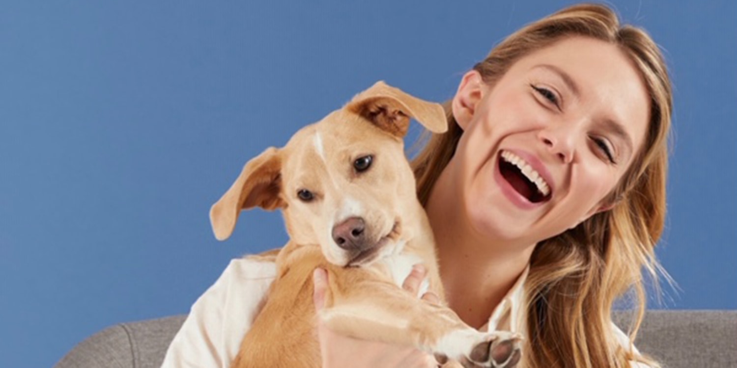 bark dentist toothbrush