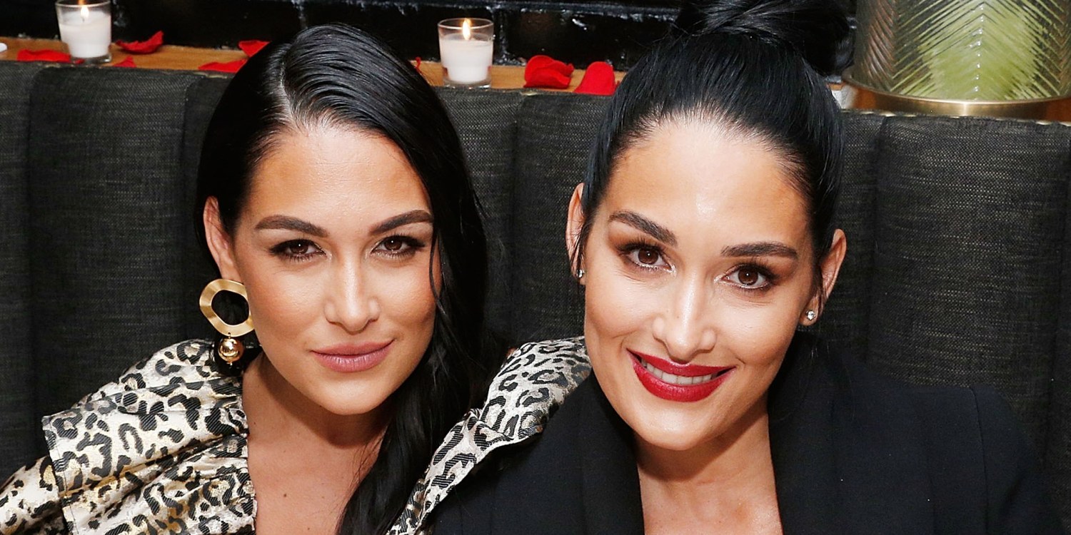 Bella twins Nikki and Brie Bella give updates on baby boys