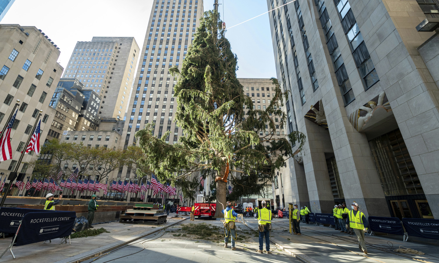upassende postkontor kant Christmas trees put on display in U.S. cities draw mockery and comparisons  to 2020
