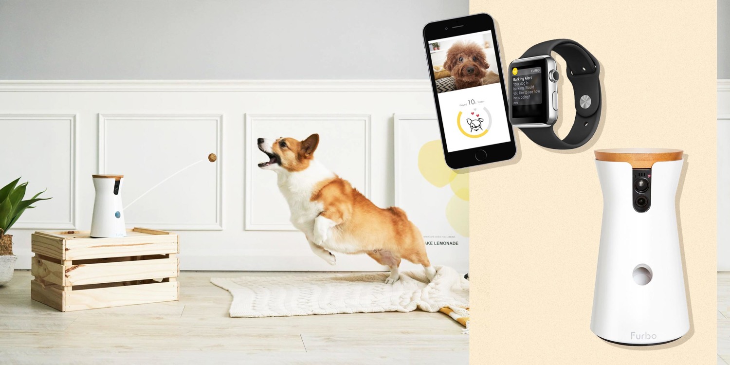 Furbo Dog Camera : une caméra pour interagir avec son animal