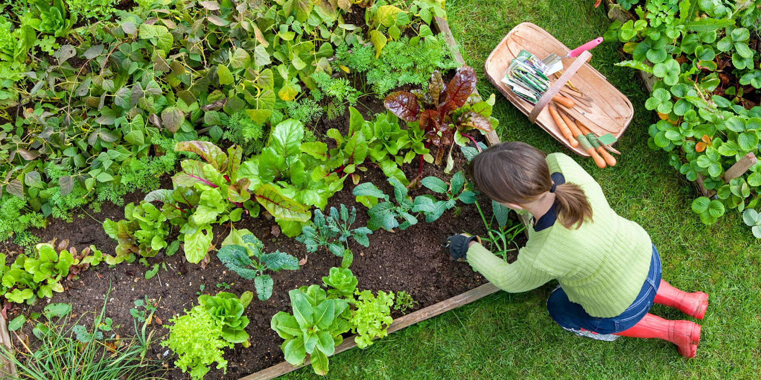 5 Vertical Vegetable Garden Ideas For Beginners