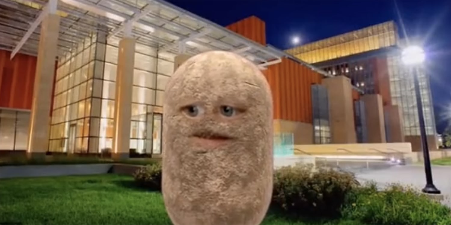 Professor turns himself into a potato on Zoom to keep his class engaged