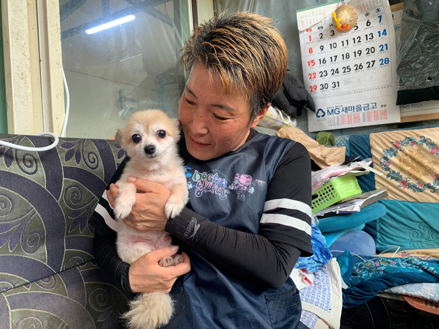 South Korea to grant legal status to animals to tackle abuse, image size:1500x1125