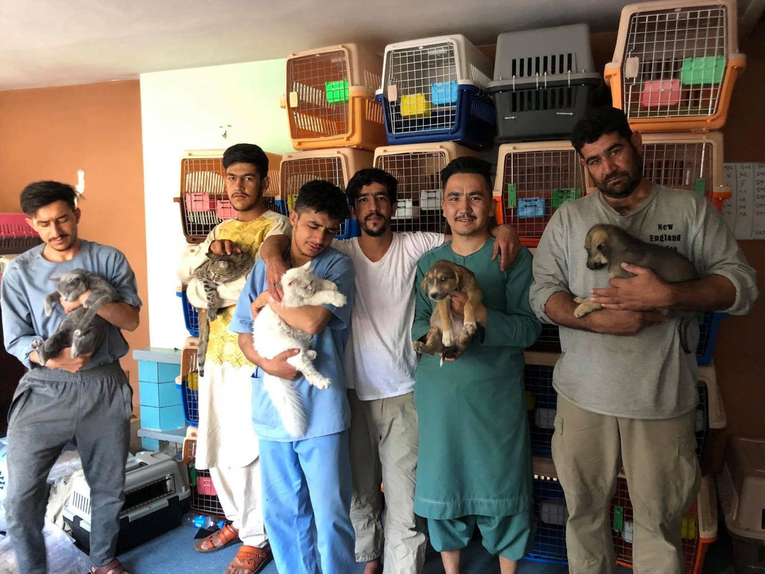 Kabul Small Animal Rescue