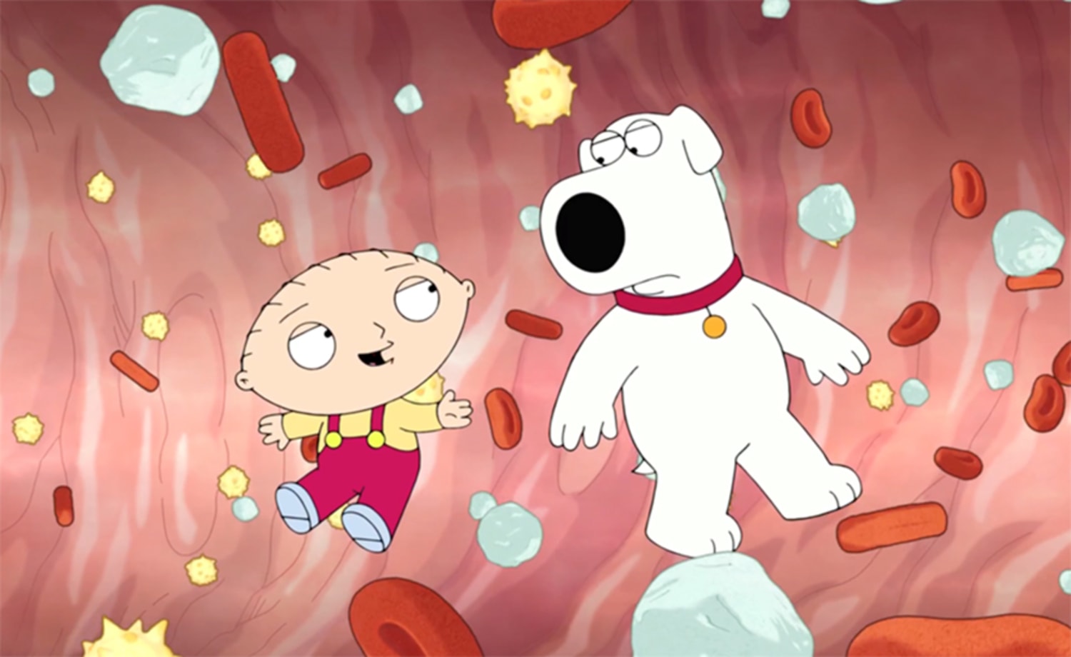 Family Guy' characters star in Covid PSA