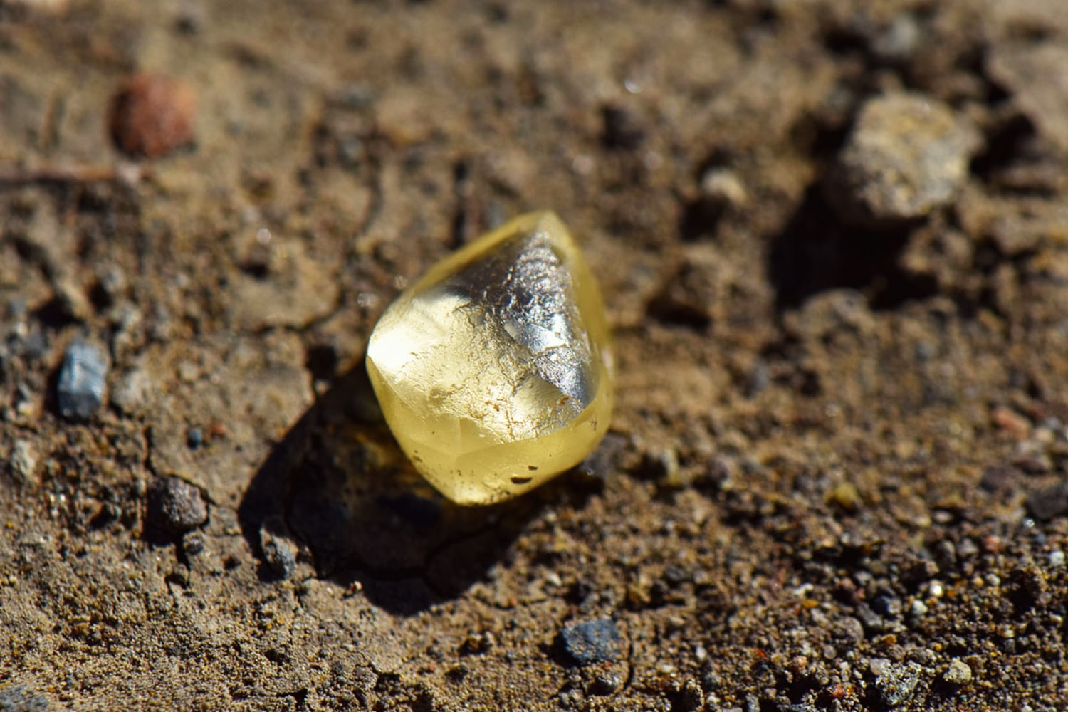 yellow gold diamond stud earrings