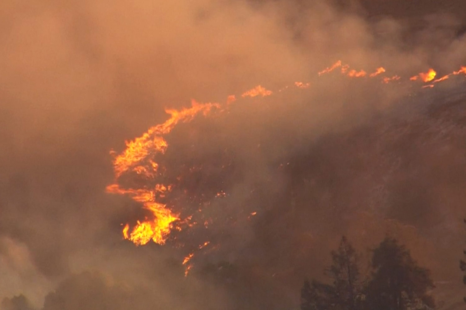 Prescribed burn gets out of hand prompts evacuations in California