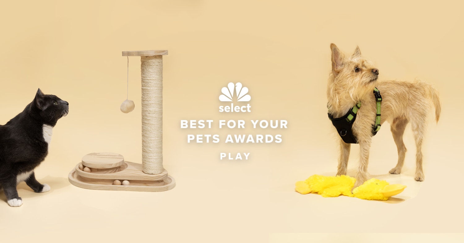 The best pet toys and apparel: Select Pet Awards 2023
