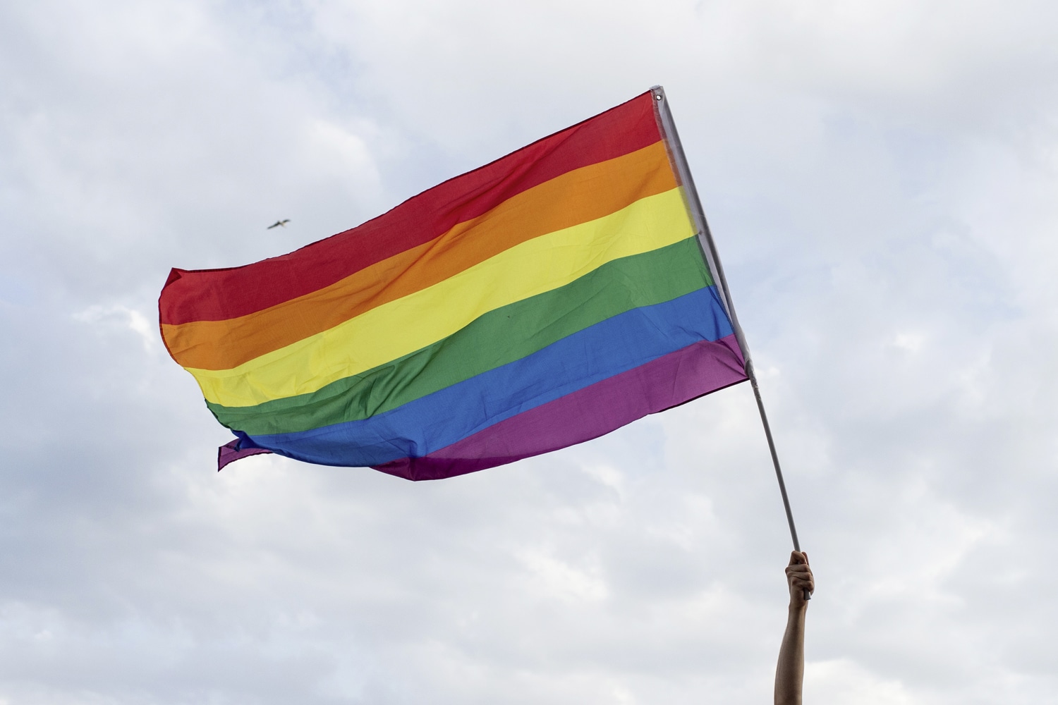 Non Light Up Flag on Stick Pride Rainbow 
