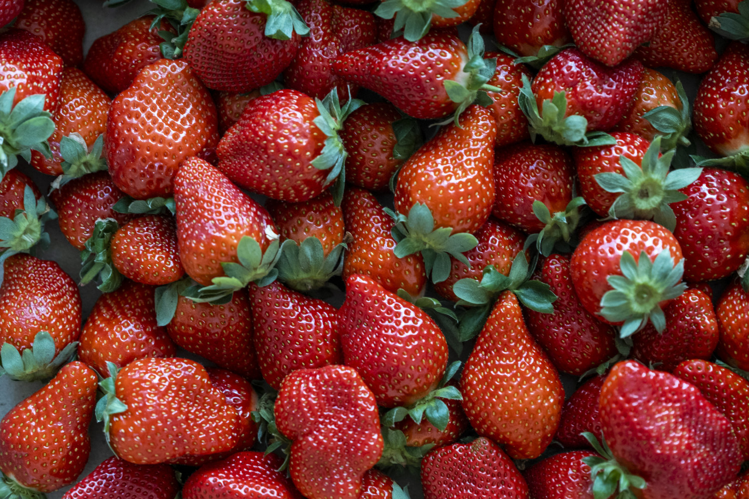 Brote de hepatitis A podría estar relacionado con fresas frescas orgánicas