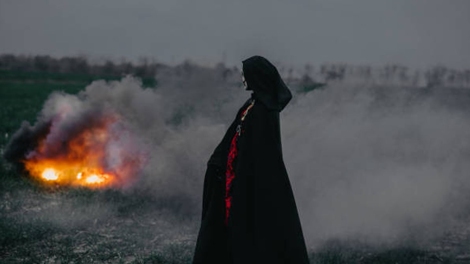 Aseguran que un bosque paranormal está habitado por hadas, duendes