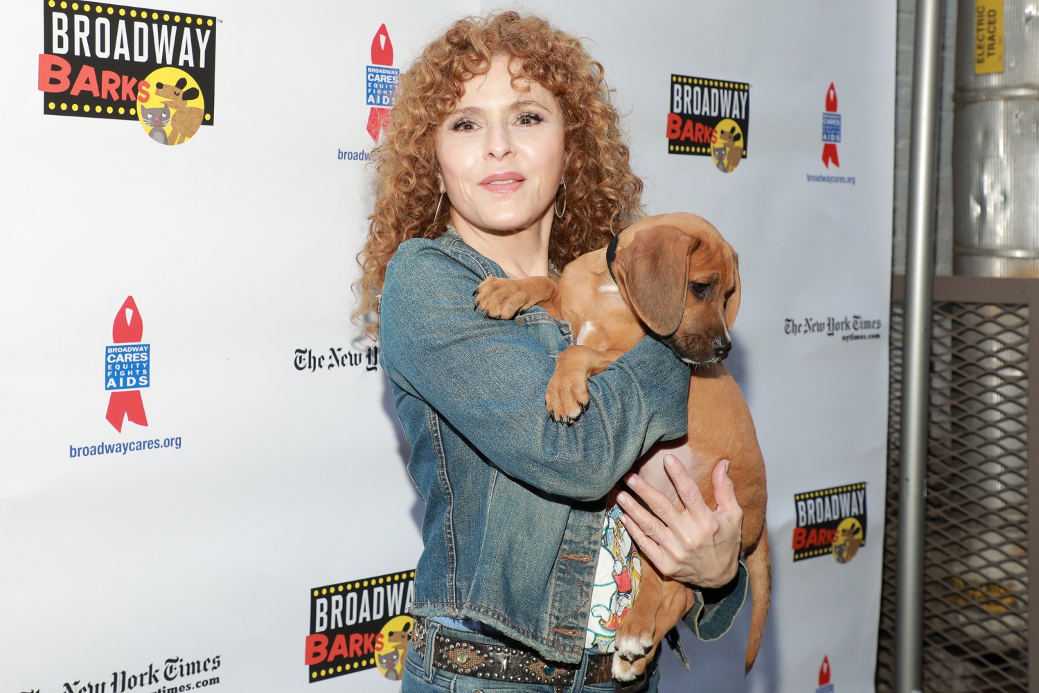 Broadway's Best Help Pets Find Loving Homes at Broadway Barks