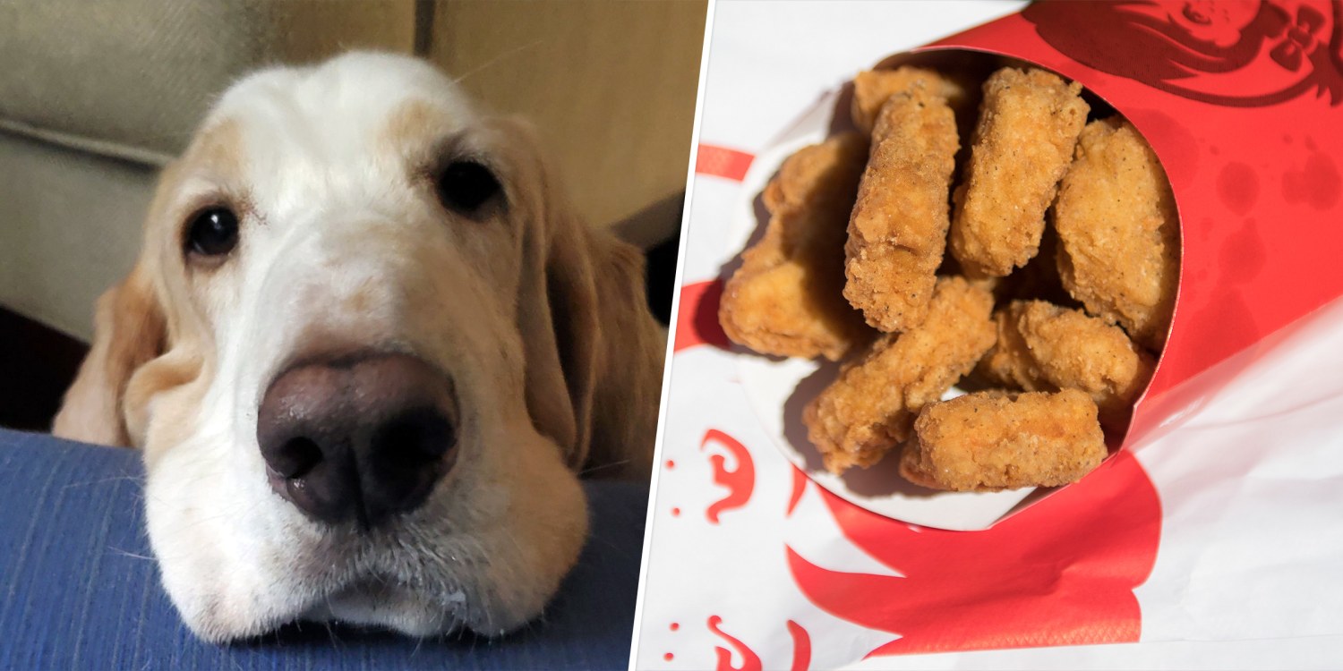 Chicken shop nugget dog