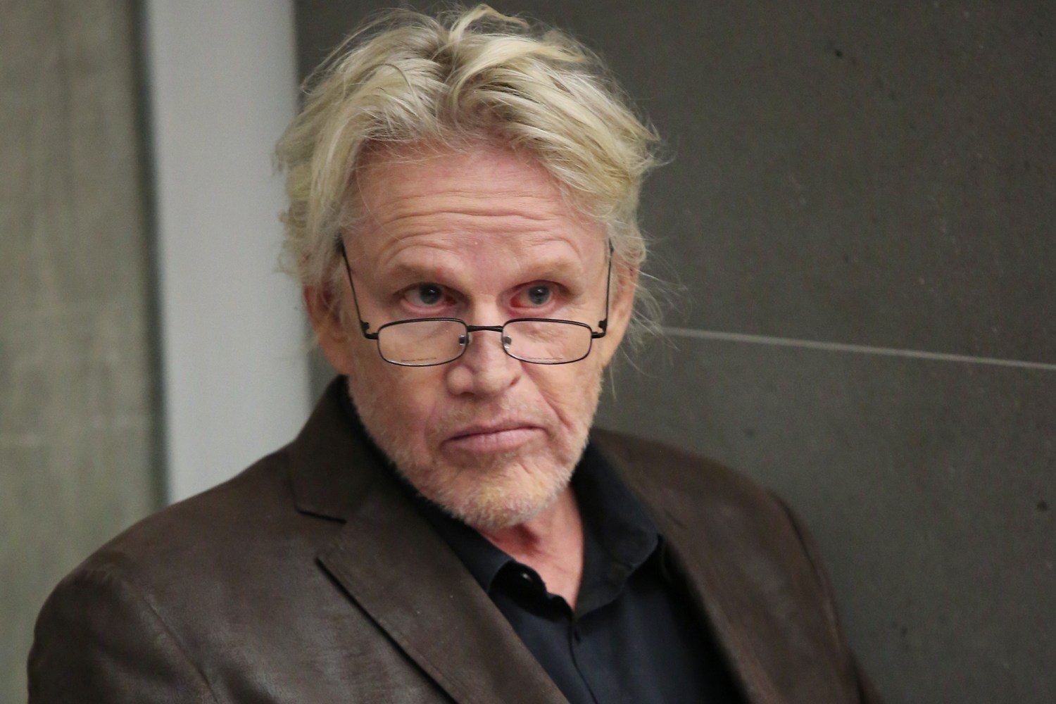 Gary Busey charged with sex offenses at Monster Mania Convention