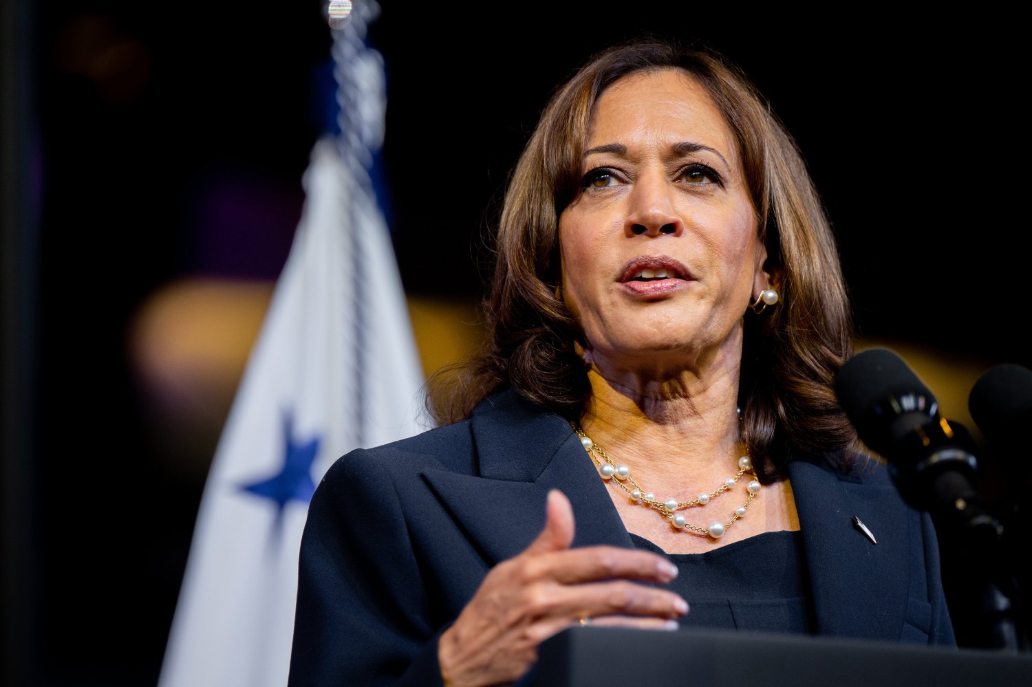 Kamala Harris warns domestic threats to democracy are harming America at  home and abroad