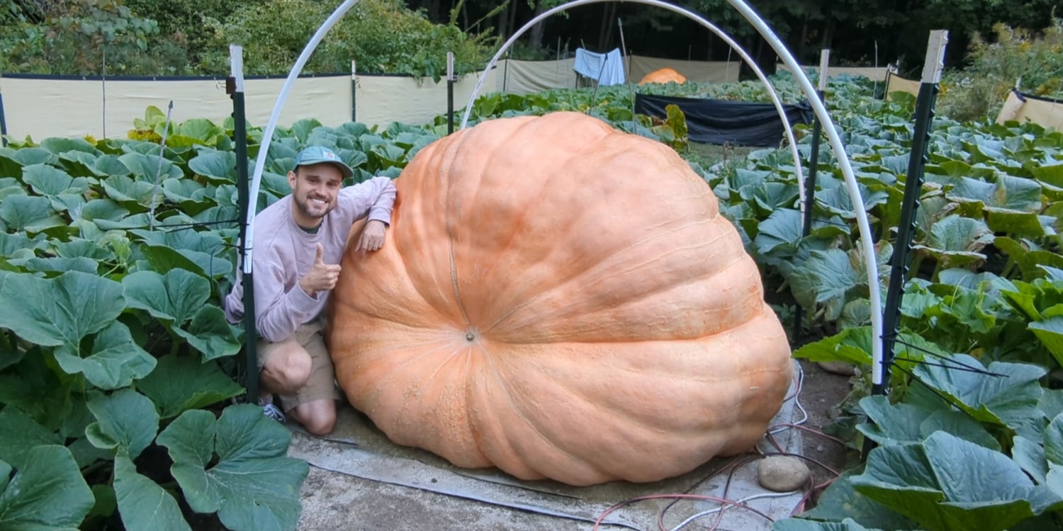 2,480-pound pumpkin sets new record at Topsfield Fair