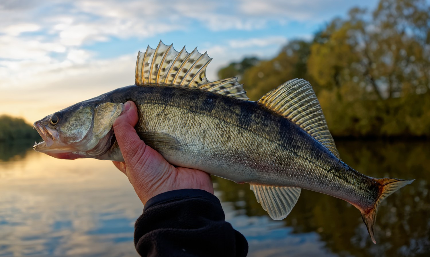 Hoosier angler used this hack to win 15 Fish of the Year awards in 2022