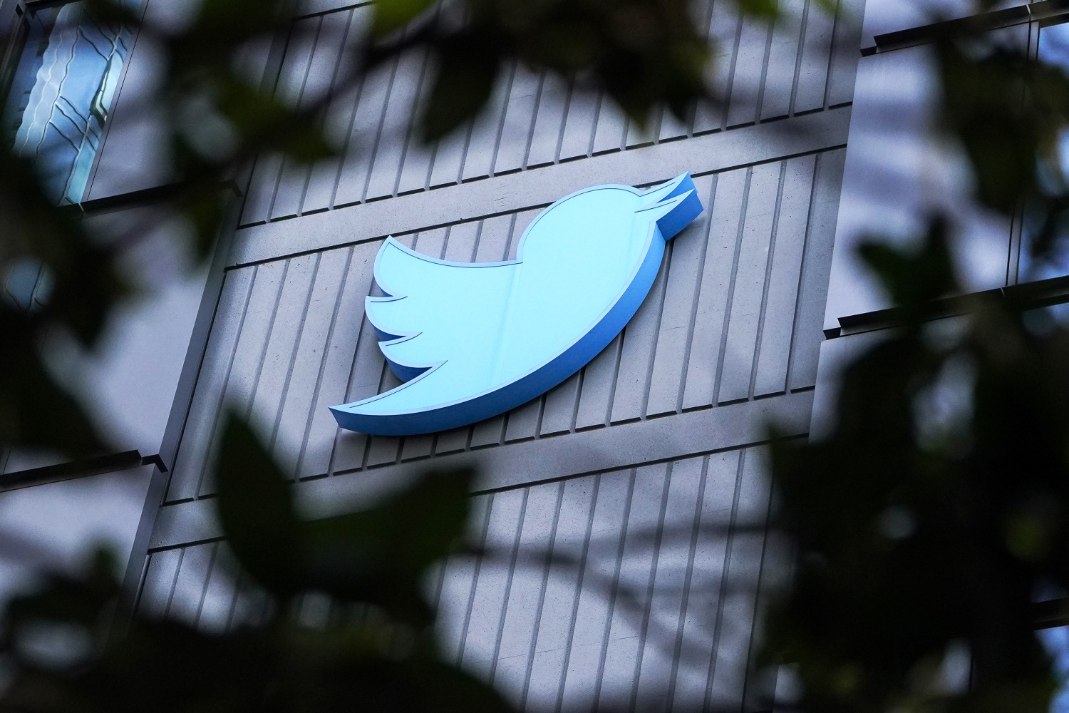 What Twitter's new $7.99 verification option means - The Washington Post