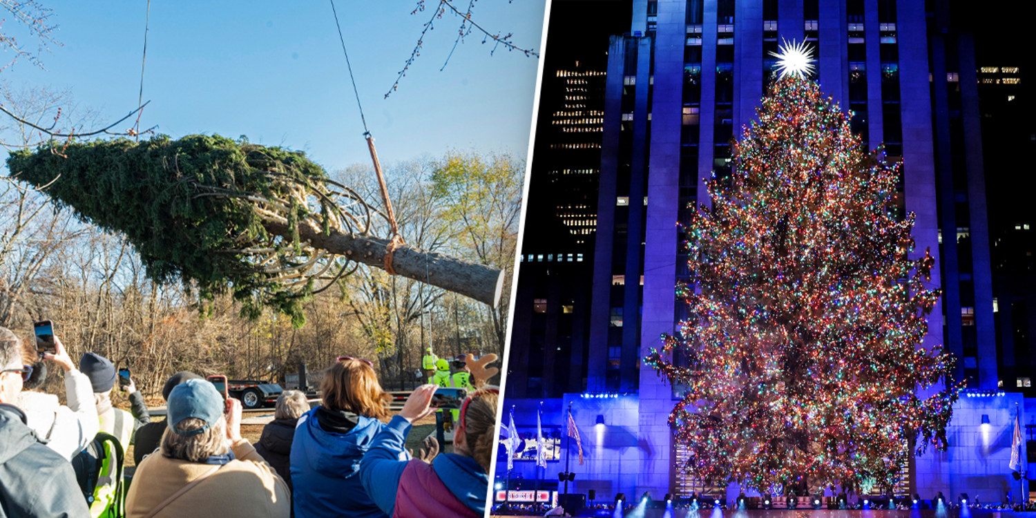 Meet Rockefeller Center's 2023 Christmas Tree