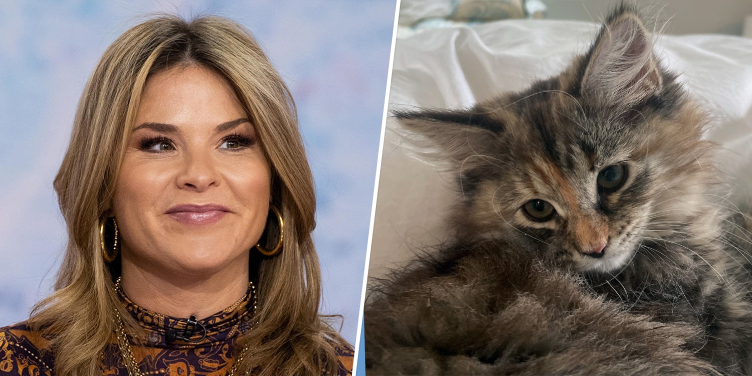 Jenna Bush Hagers Family Has Welcomed A Kitten Named Hollywood