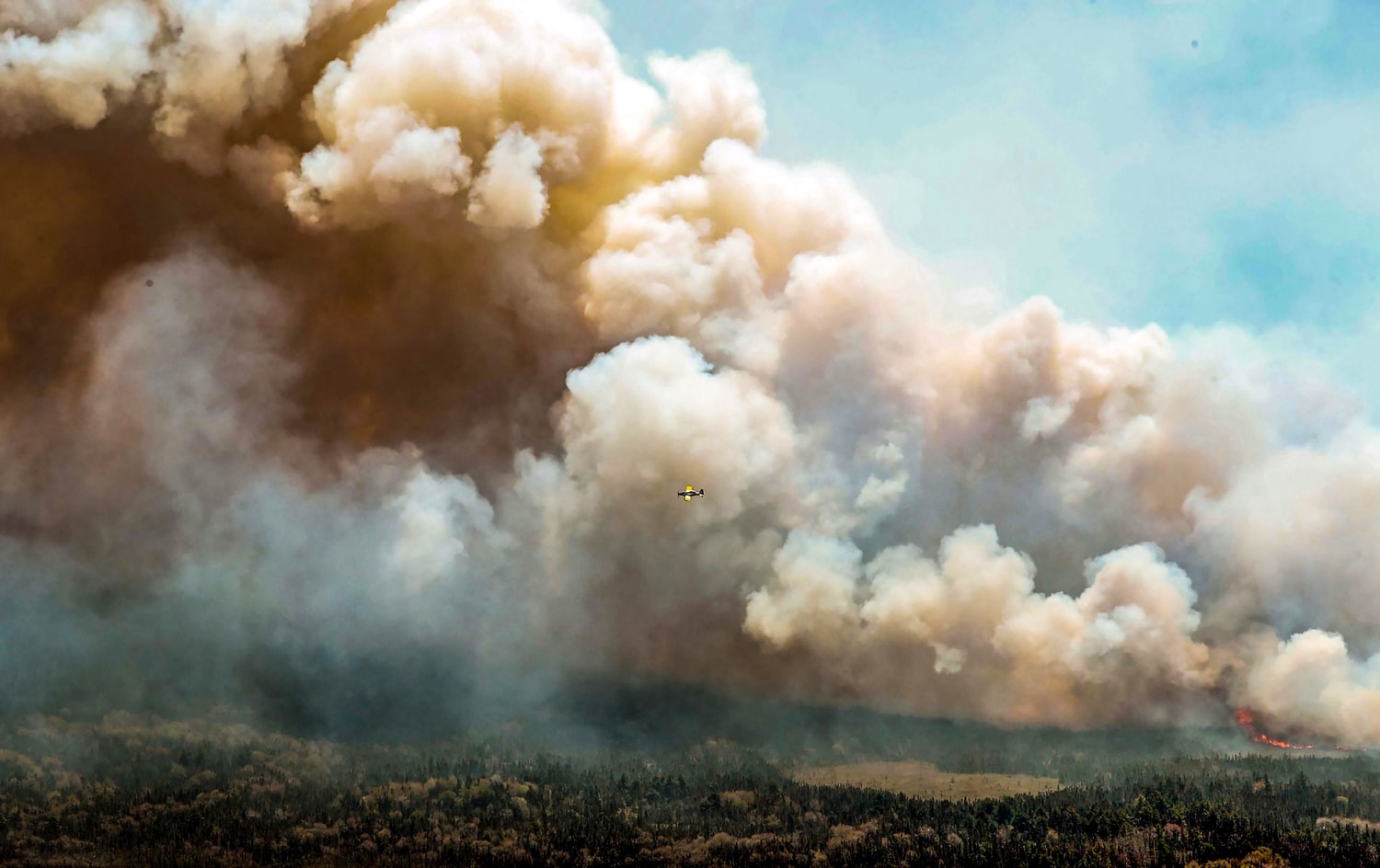 What Caused The Canadian Wildfires June 2024 Catlin Norrie