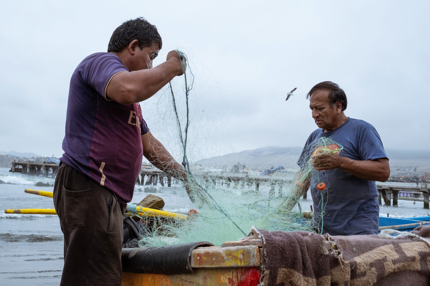 Fishermen return from sea with big catch, no place to sell