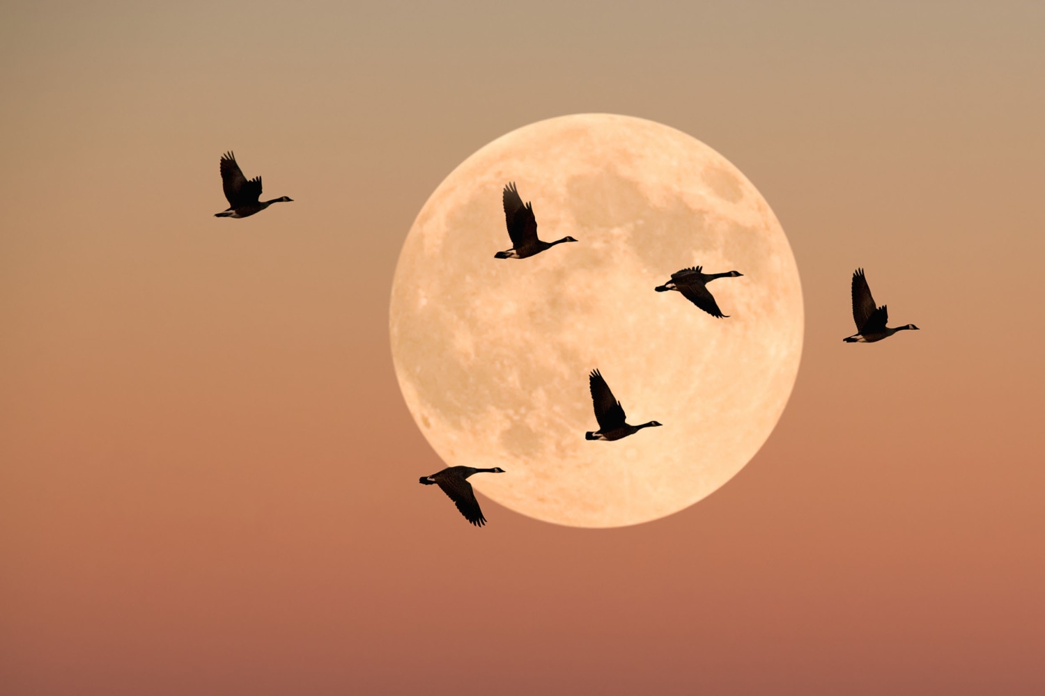 The Best Full Moon Rituals