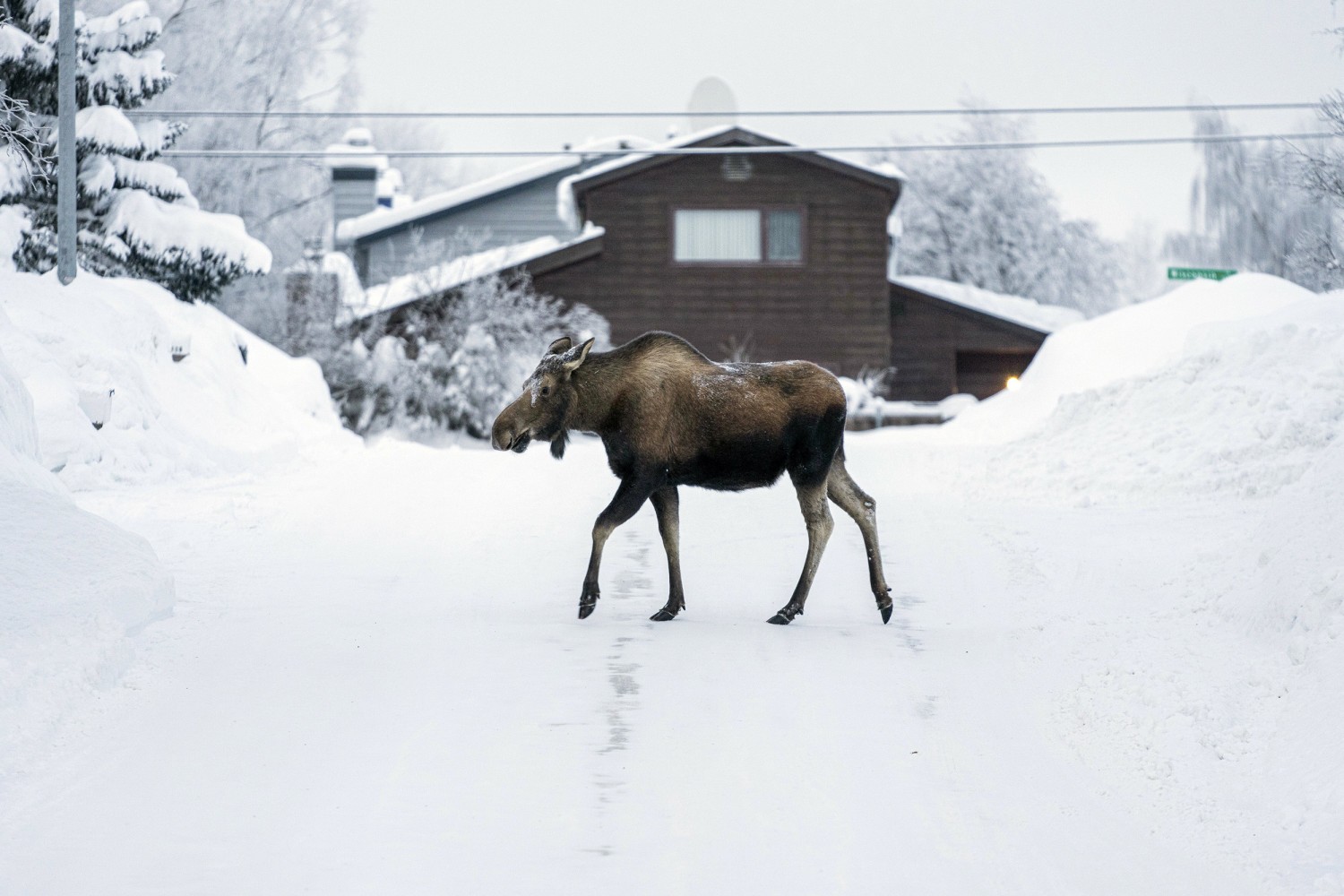 It's so cold and snowy in Alaska that fuel oil is thickening and roofs are  collapsing