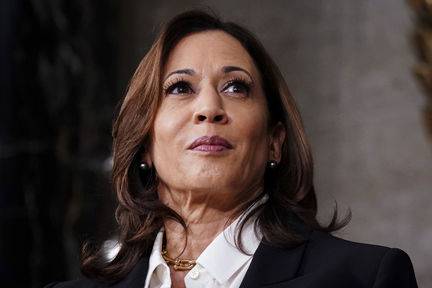 Kamala Harris defends Biden as her allies stand ready to back her should he  step aside