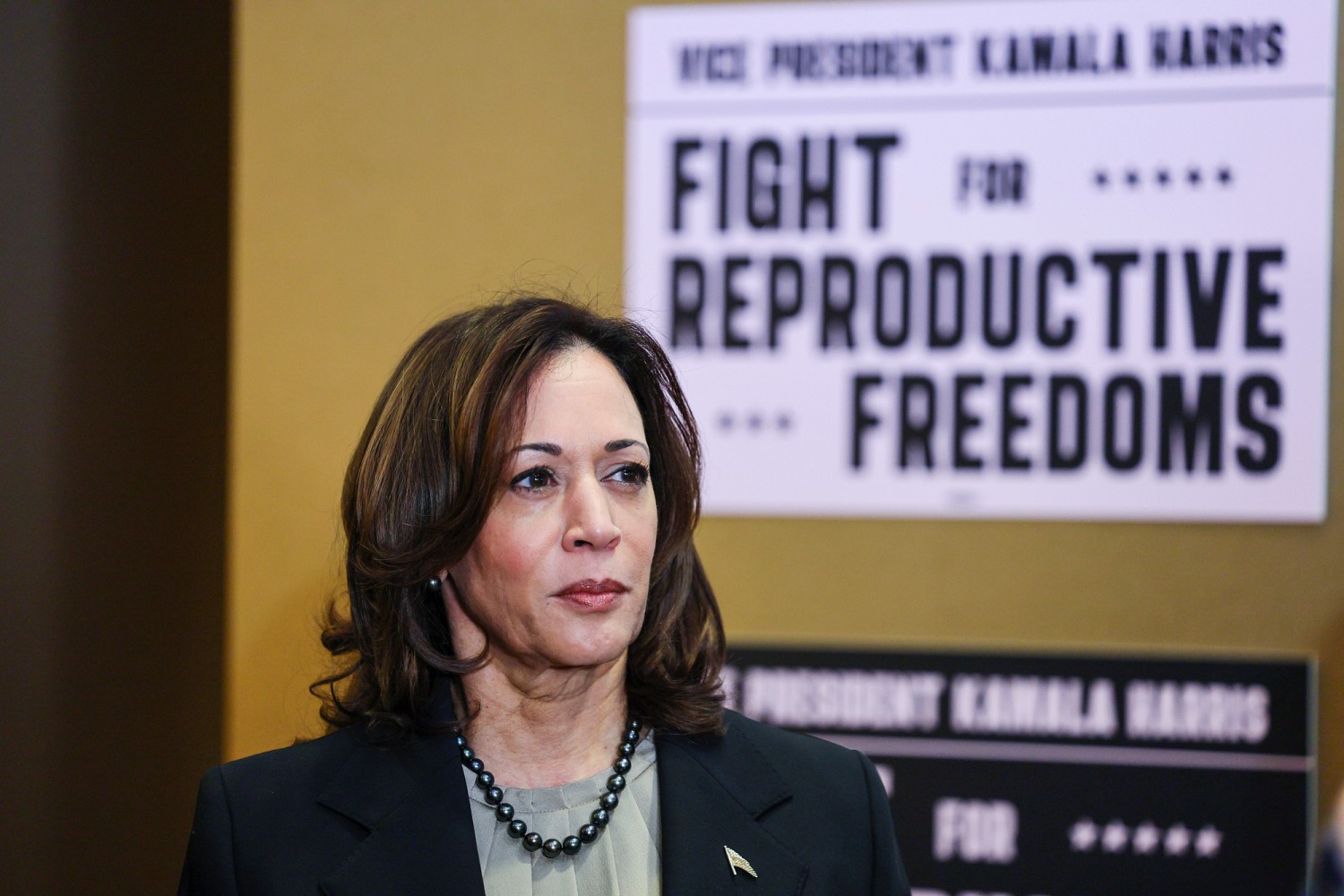 Harris's bold abortion stance may impact 2024 Election after Biden's exit